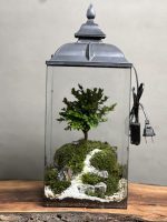 چراغخواب بنسای ژاپونیکا طرح وان روود - Image 4