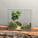 تراریوم بنسای ژاپونیکا طرح درخت عشق