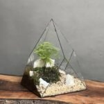 تراریوم مارچوبه طرح هرمی