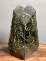 موساریوم طرح طبیعت آبنوس 40 Cm (تراریوم) - Image 3