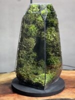 چراغخواب موساریوم طرح طبیعت بکر (تراریوم) - Image 4