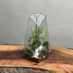 تراریوم‌ شامادورا طرح طبیعت 20 Cm