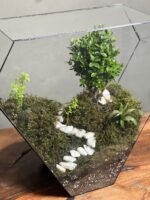 تراریوم بنسای ژاپونیکا طرح راه زندگی - Image 3