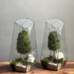 ۲ عدد وابی کوزا طرح فاکس 35 Cm (تراریوم)