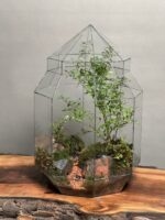 تراریوم لاکچری بنسای انار - Image 2