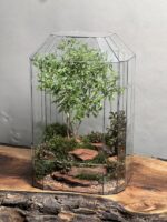 تراریوم بنسای انار طرح جنگل قرمز - Image 2