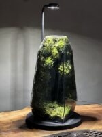 چراغخواب موساریوم طرح طبیعت بکر (تراریوم) - Image 3