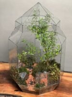 تراریوم لاکچری بنسای انار - Image 3