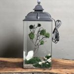تراریوم چراغخواب درخت جاودان