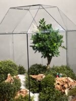 تراریوم بنسای ژاپونیکا طرح بیگ کیج - Image 4