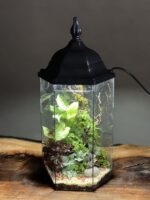 تراریوم رطوبتی چراغدار طرح آوای جنگل - Image 4