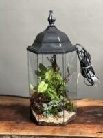 تراریوم رطوبتی چراغدار طرح آوای جنگل - Image 2