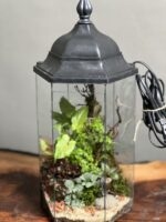 تراریوم رطوبتی چراغدار طرح آوای جنگل - Image 5