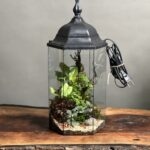 تراریوم رطوبتی چراغدار طرح آوای جنگل