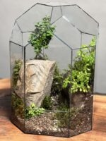 تراریوم بنسای ژاپونیکا طرح اسمال گنبد - Image 3