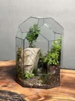 تراریوم بنسای ژاپونیکا طرح اسمال گنبد - Image 2