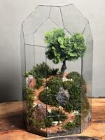 تراریوم بنسای نانا طرح گرین تال - Image 4