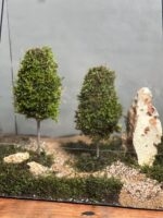 گیفت شرکتی ۳ عدد وابی کوزا طرح هرم سبز - Image 4