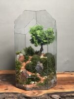 تراریوم بنسای نانا طرح گرین تال - Image 3