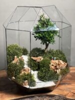 تراریوم بنسای ژاپونیکا طرح بیگ کیج - Image 3