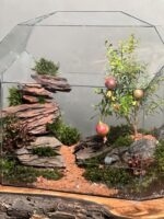 تراریوم بنسای انار طرح پلنت فروت - Image 3
