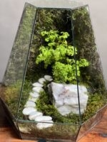 موساریوم طرح پله ی زندگی 35 Cm (تراریوم) - Image 3