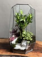 تراریوم لوتوس بامبو طرح آیرونمن - Image 3