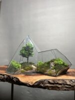 تراریوم لاکچری بنسای نانا طرح کوه سبز