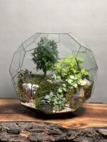 تراریوم لاکچری بنسای ژاپونیکا طرح گرین بال - Image 2