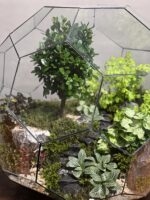 تراریوم لاکچری بنسای ژاپونیکا طرح گرین بال - Image 4