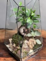 تراریوم بنسای فیکوس طرح فاکس 35 Cm - Image 4