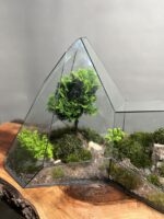 تراریوم لاکچری بنسای نانا طرح کوه سبز - Image 5