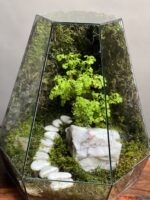 موساریوم طرح پله ی زندگی 35 Cm (تراریوم) - Image 4