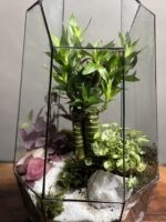تراریوم لوتوس بامبو طرح آیرونمن - Image 4