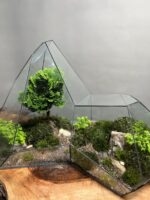 تراریوم لاکچری بنسای نانا طرح کوه سبز - Image 3