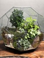 تراریوم لاکچری بنسای ژاپونیکا طرح گرین بال - Image 3