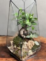 تراریوم بنسای فیکوس طرح فاکس 35 Cm - Image 3