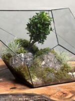 تراریوم بنسای ژاپونیکا طرح الماس سبز ژاپن - Image 4