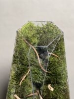 موساریوم طرح طبیعت فاکس آبنوس 40 Cm (تراریوم) - Image 4