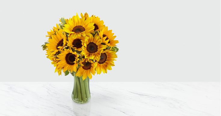 گل آفتابگردان برای ولنتاین
