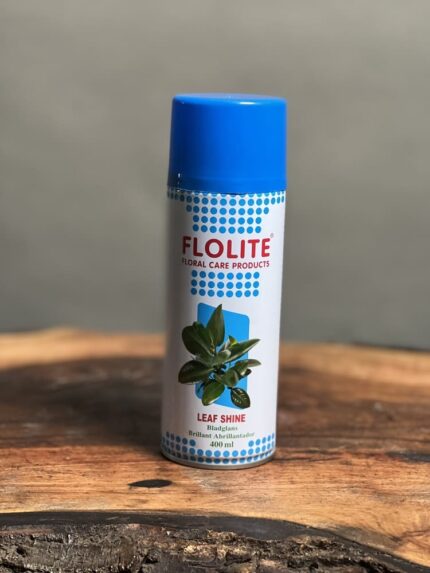 اسپری براق کننده 400 Ml