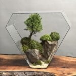 تراریوم بنسای کونیکا طرح مثلث طبیعت
