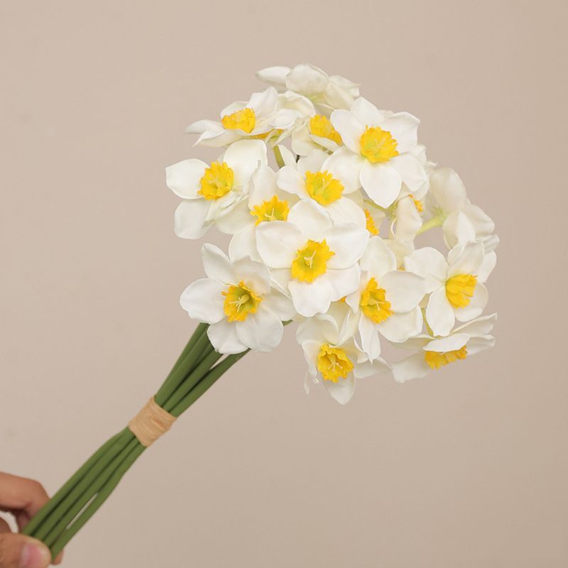 گل نرگس مناسب هدیه تولد