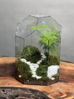 تراریوم مارچوبه طرح دوراهی - Image 2
