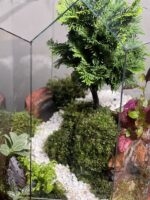 تراریوم بنسای نانا طرح وایت روود - Image 4