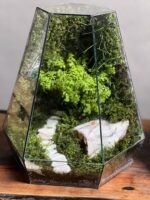 ۲ تا موساریوم طرح پله ی زندگی 35 Cm (تراریوم) - Image 3