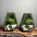 ۲ تا موساریوم طرح پله ی زندگی 35 Cm (تراریوم)