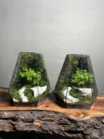 ۲ تا موساریوم طرح پله ی زندگی 35 Cm (تراریوم)