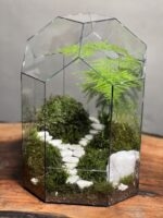 تراریوم مارچوبه طرح دوراهی - Image 3