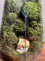 موساریوم طرح طبیعت راک لاو 40 Cm (تراریوم) - Image 4